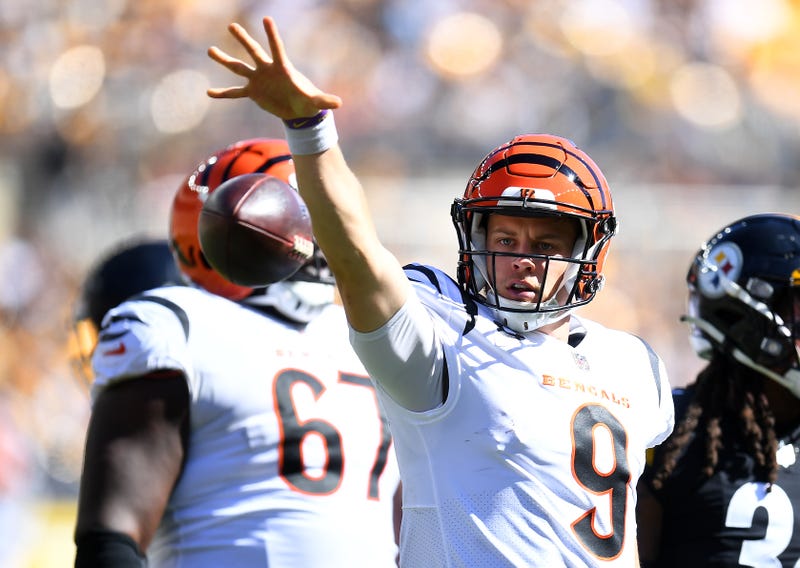 Cincinnati Bengals