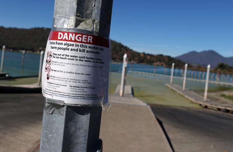 A sign is posted on the dock at Redbud Park warning of toxic blooms of cyanobacteria, also called blue-green algae, that cover the surface of the water in Clear Lake on September 26, 2021 in Clearlake, California.