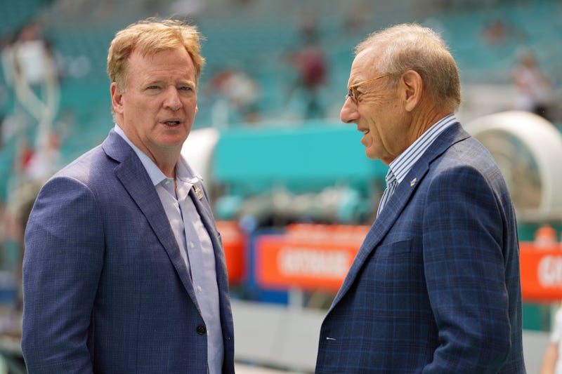 Roger Goodell and Stephen Ross