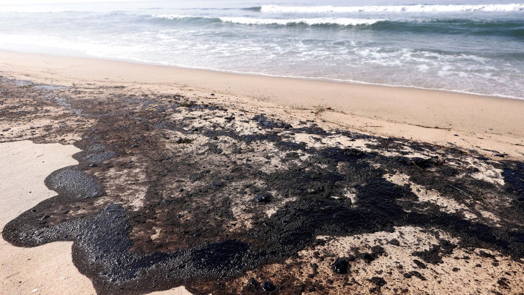 Oil spill reaches Orange County beaches, dead birds and fish wash ashore