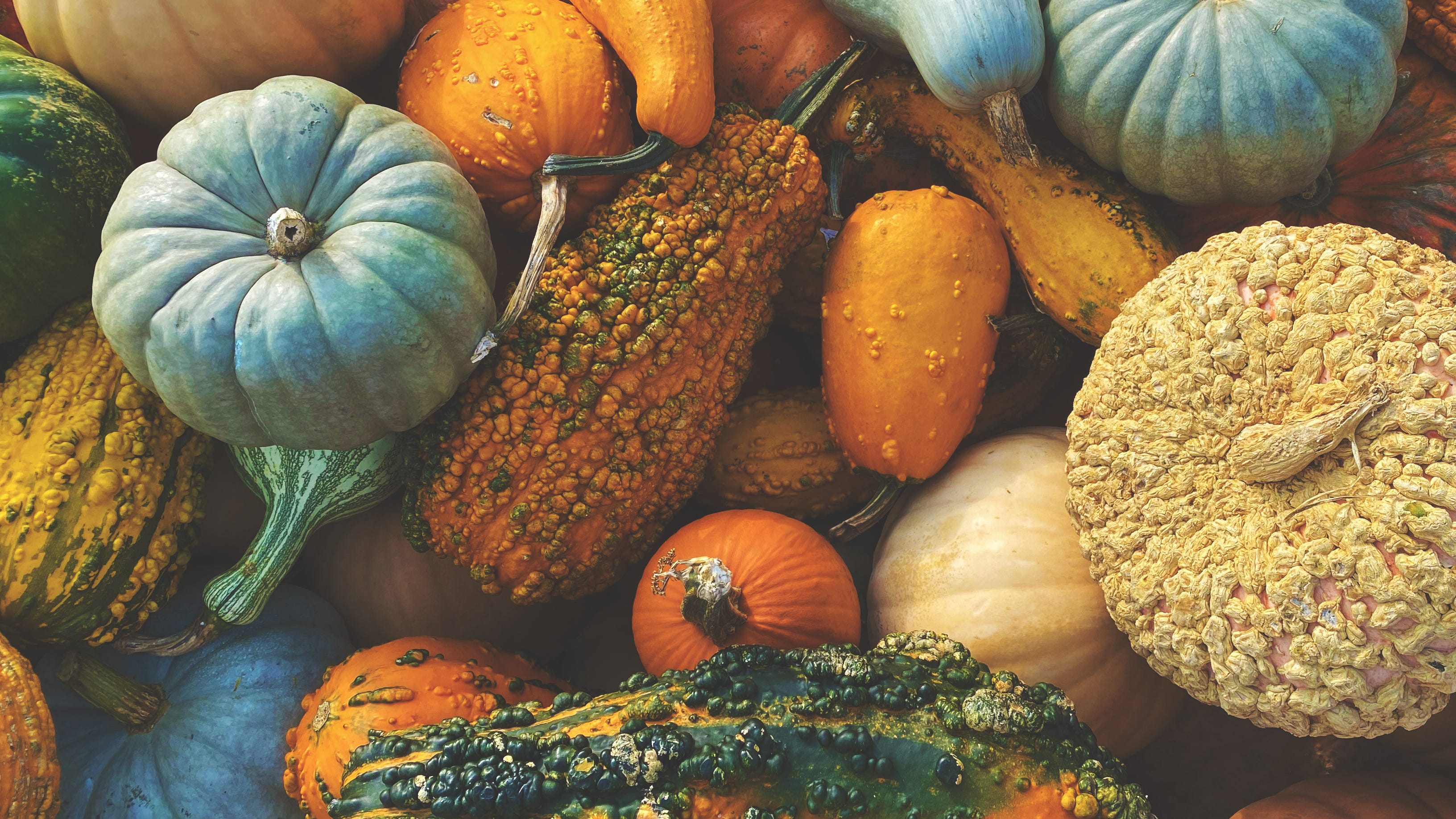 LISTEN: How to use gourds post-Halloween