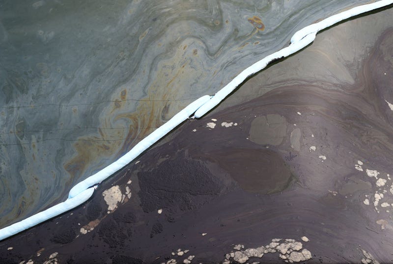 Water is contaminated with oil in the Talbert Marsh.