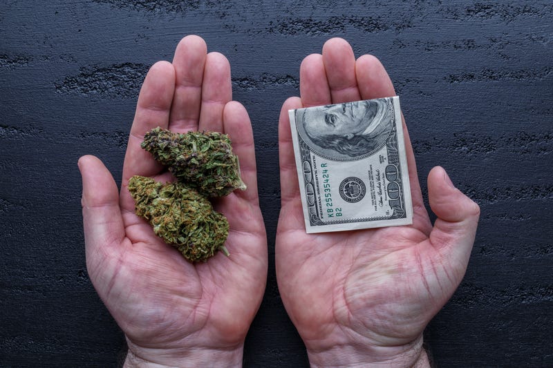 Person holding marijuana and cash