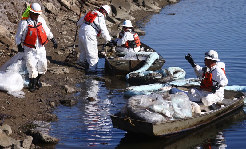 Workers in protective suits clean oil in the environmentally sensitive Talbert Marsh wetlands after a 126,000-gallon oil spill from an offshore oil platform on October 5, 2021 in Huntington Beach, California. 