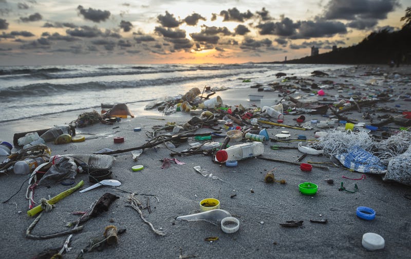 A beach lined with sewage and garbage. 