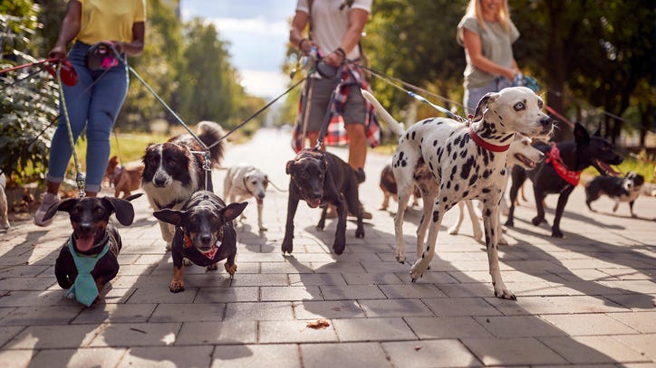Looking for a side hustle? These are the ones that pay