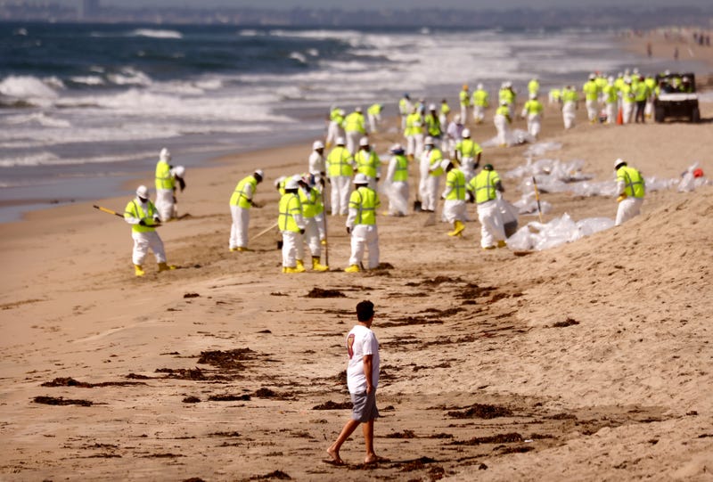 A beachgoer watches as cleanup workers search for contaminated sand and seaweed along the mostly empty Huntington Beach about one week after an oil spill from an offshore oil platform on October 9, 2021 in Huntington Beach, California.