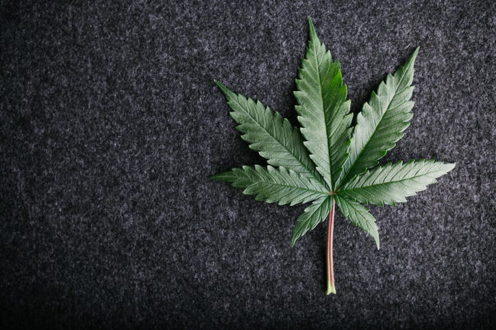 pot leaf