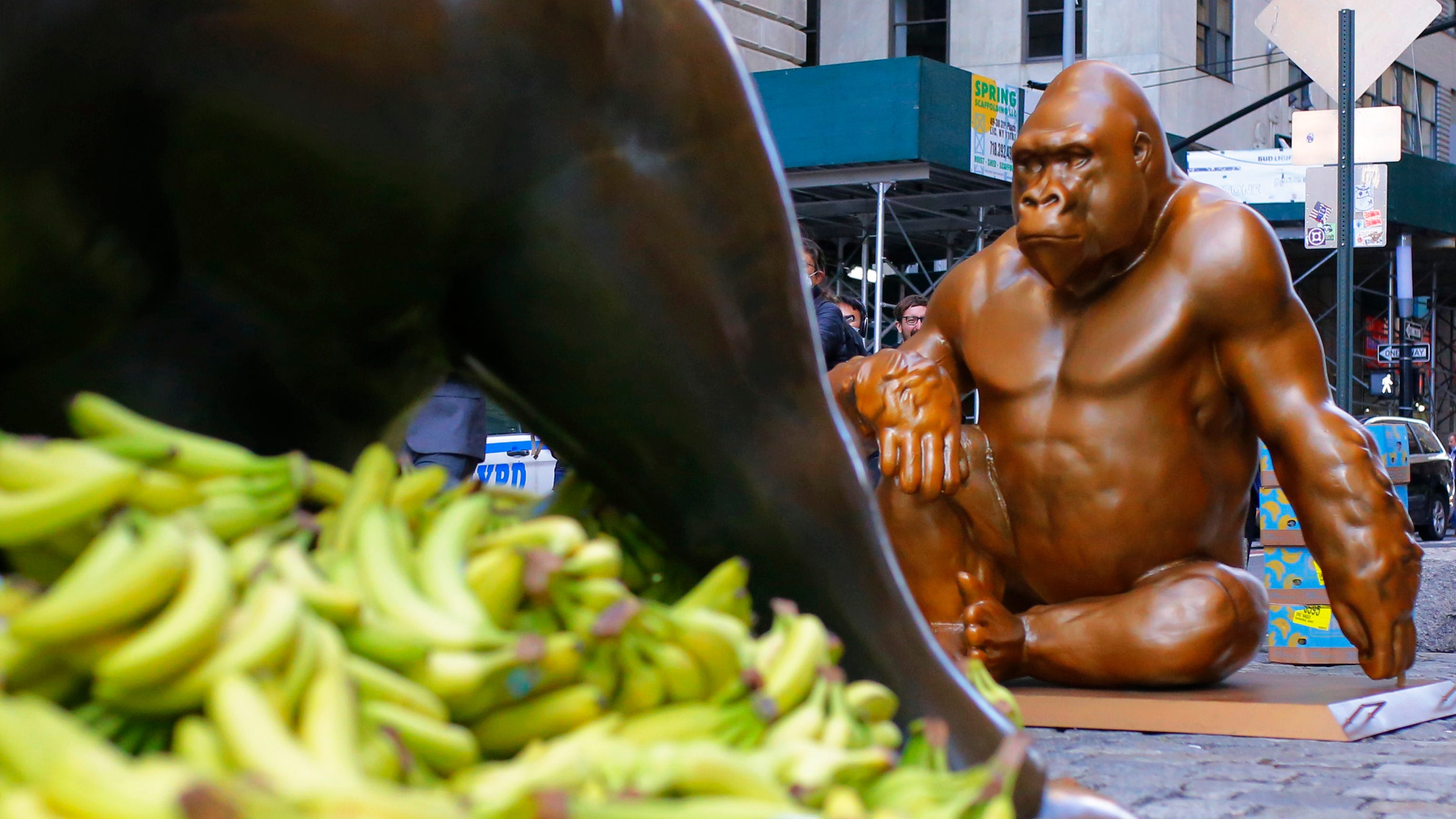 PHOTOS: Statue of Harambe the gorilla faces off with Wall Street's Charging Bull