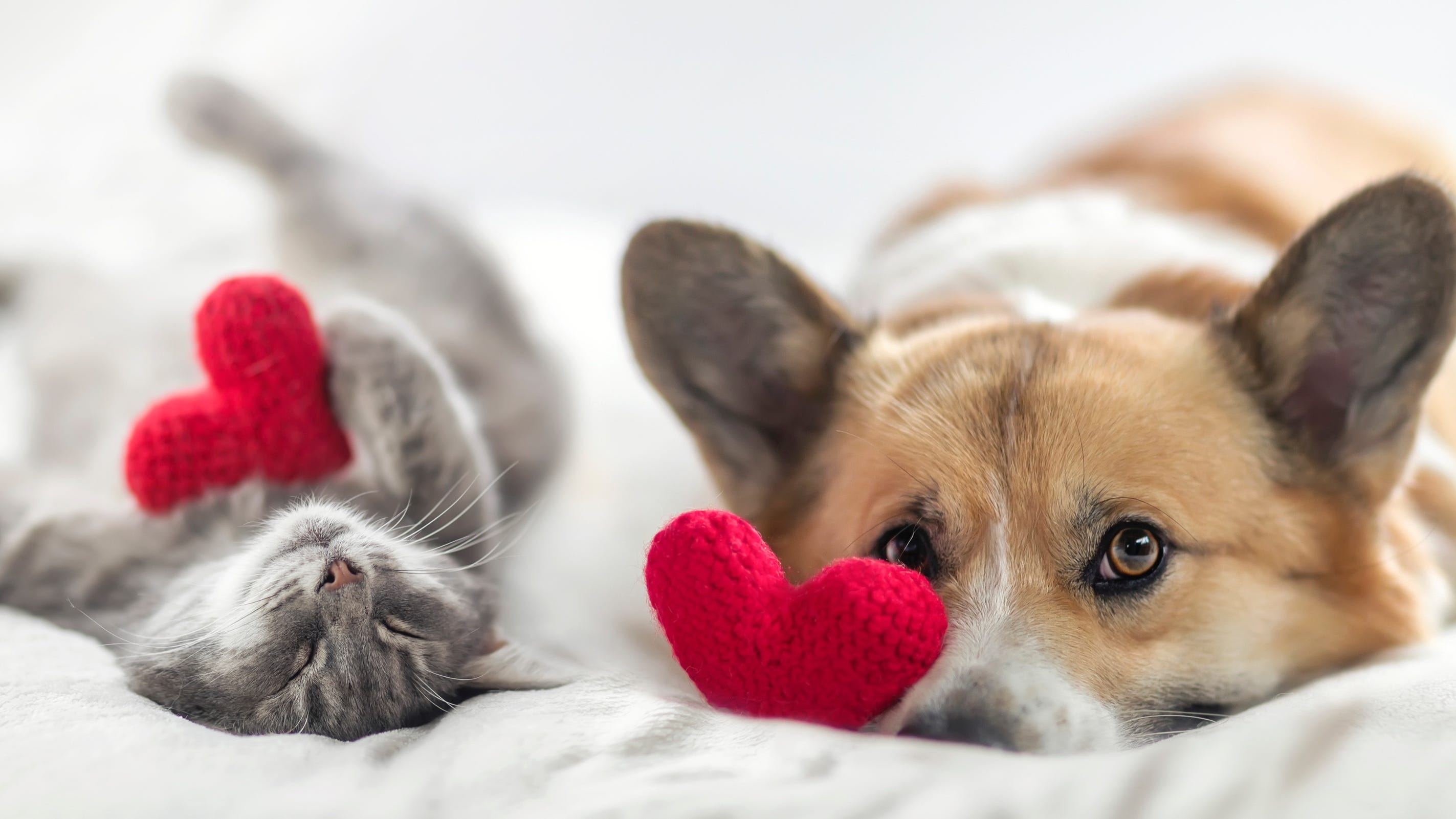 Give a gift from the heart and other advice to strengthen your relationships with partners, family this Valentine's Day