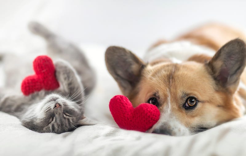experts say there is so much we can give to our partners, family and friends to make them feel special and strengthen relationships not only on Valentine's Day, but throughout the year.