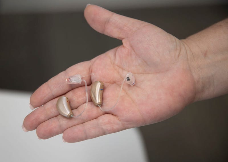 hearing aid