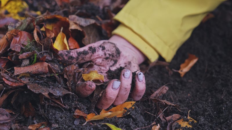 Disturbing Hand of Murdered in Forest Caucasian Woman in Yellow Jacket with Broken Finger Nails Found on Ground Among Mud and Withered Autumn Leaves