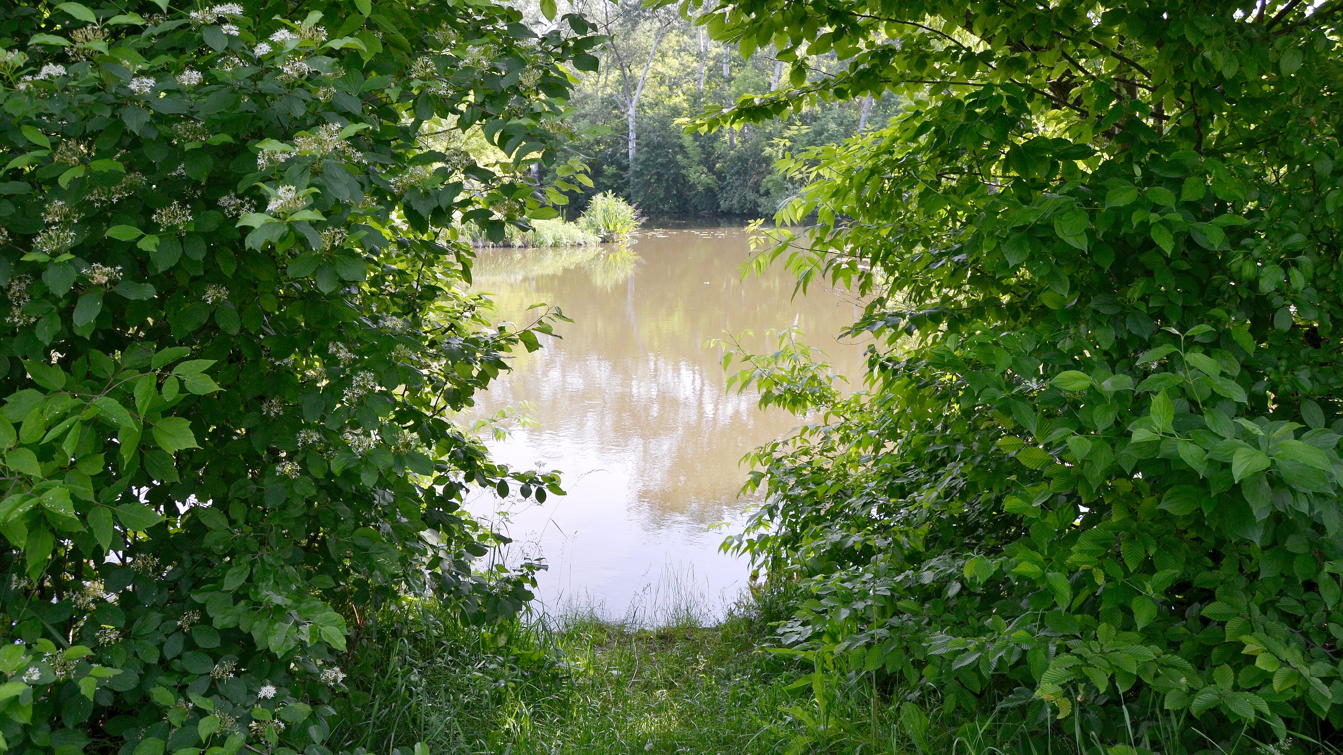 City of Elgin donates more than 20 acres to Cook County Forest Preserve