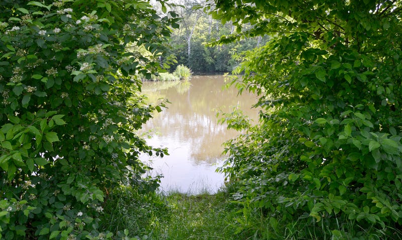 City of Elgin gives Cook County Forest Preserve more than 20 aches