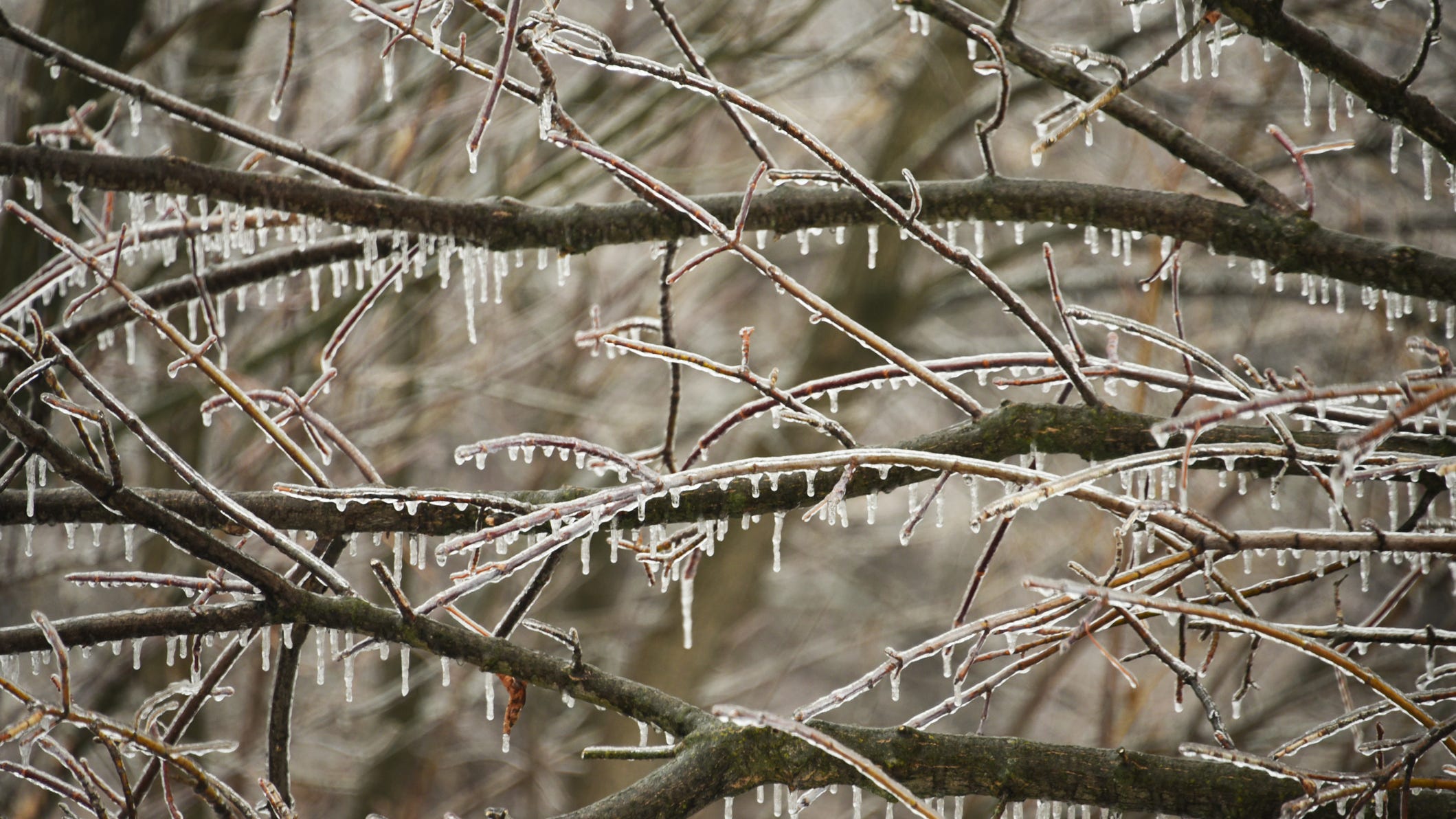 Warming shelters open across North Texas