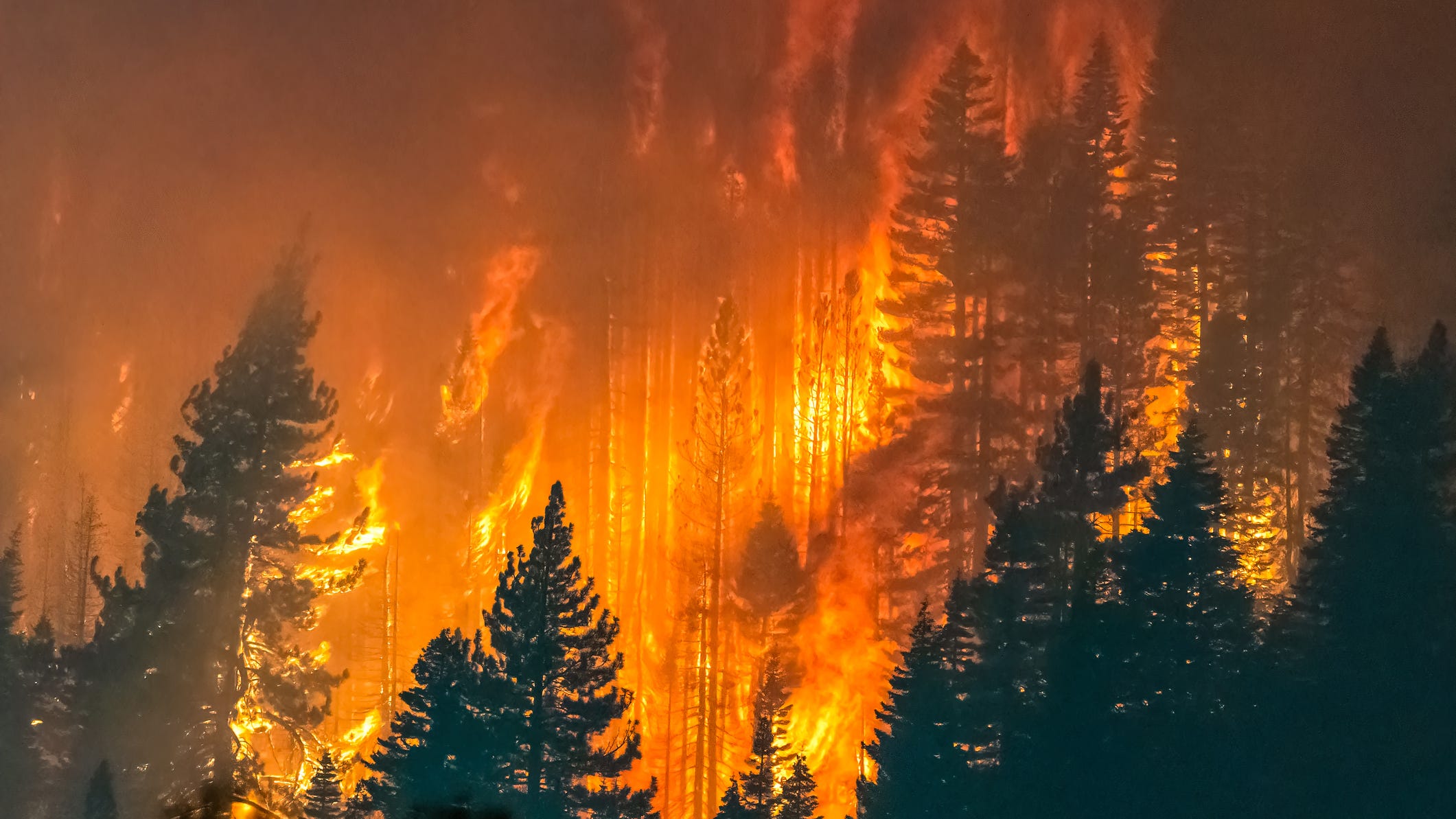 Wildfire destroys 100 homes in California, injures at least 2