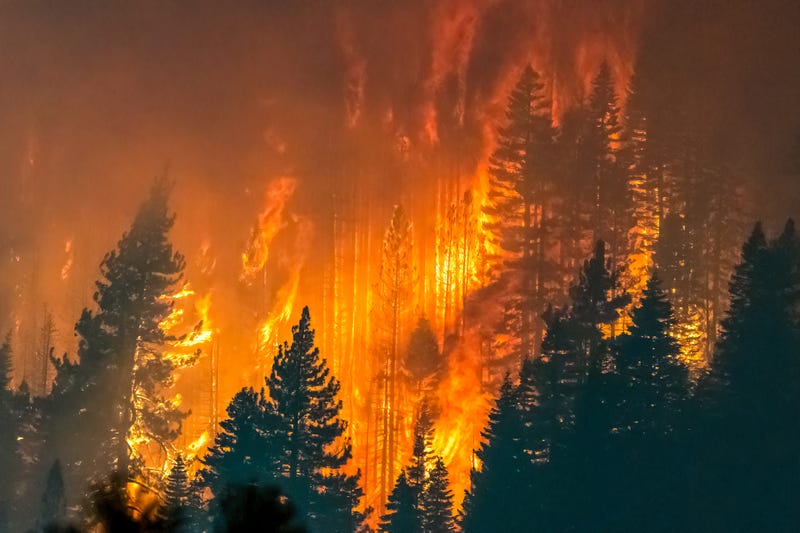 Wildfire burning