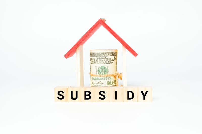 Subsidy