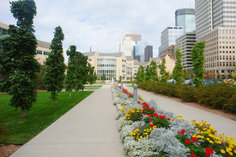 Want to spruce up your property? Minneapolis residents can now purchase trees for their property.