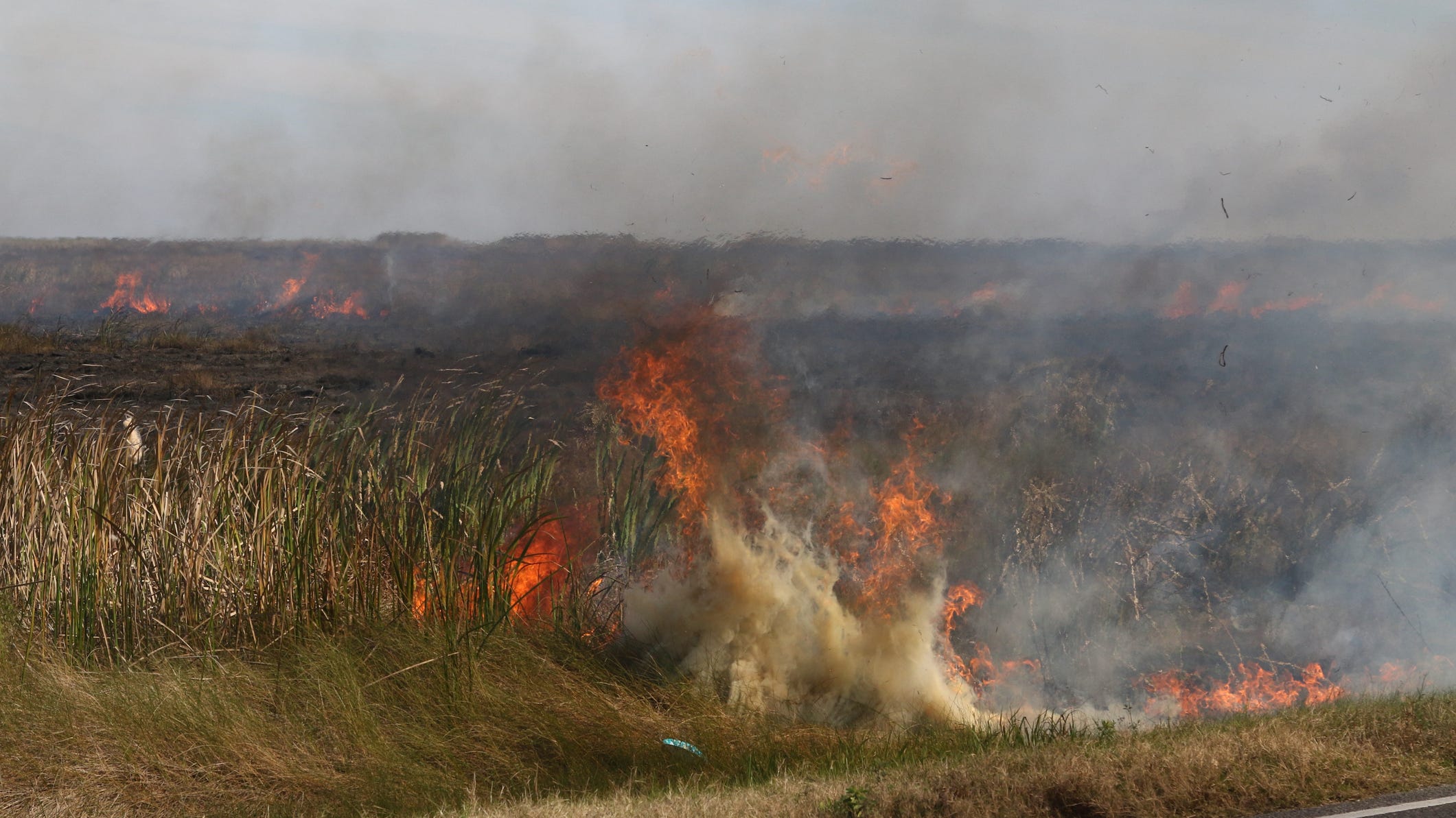 Expert warns that potential for Louisiana wildfire is ‘severe’