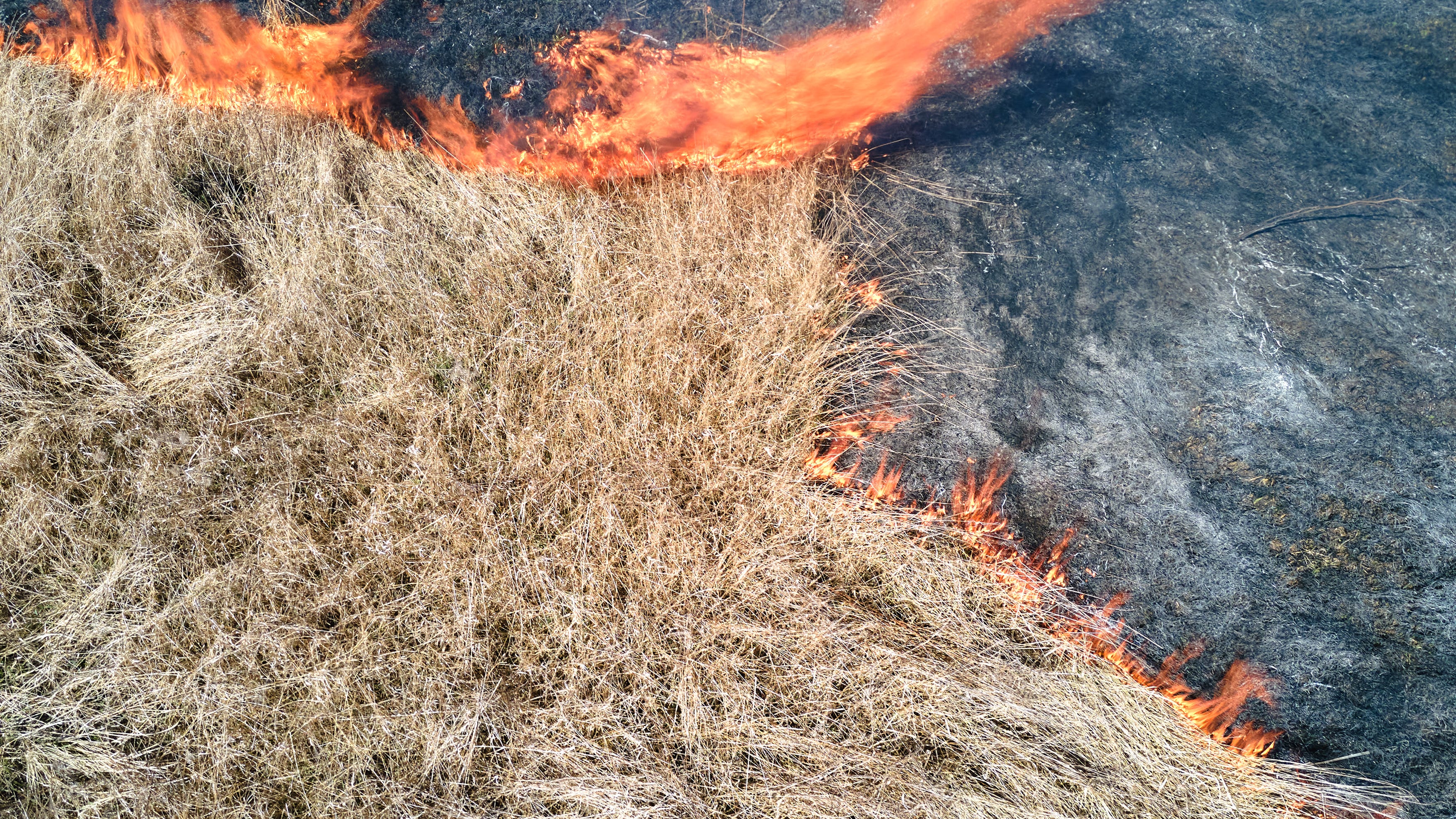 Tarrant County Judge issues disaster declaration due to threat of wildfires, burn ban in effect