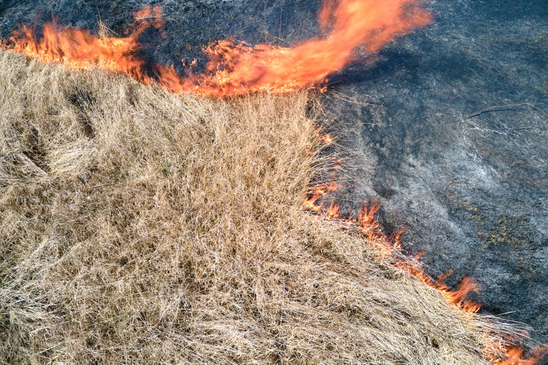 Burn Ban