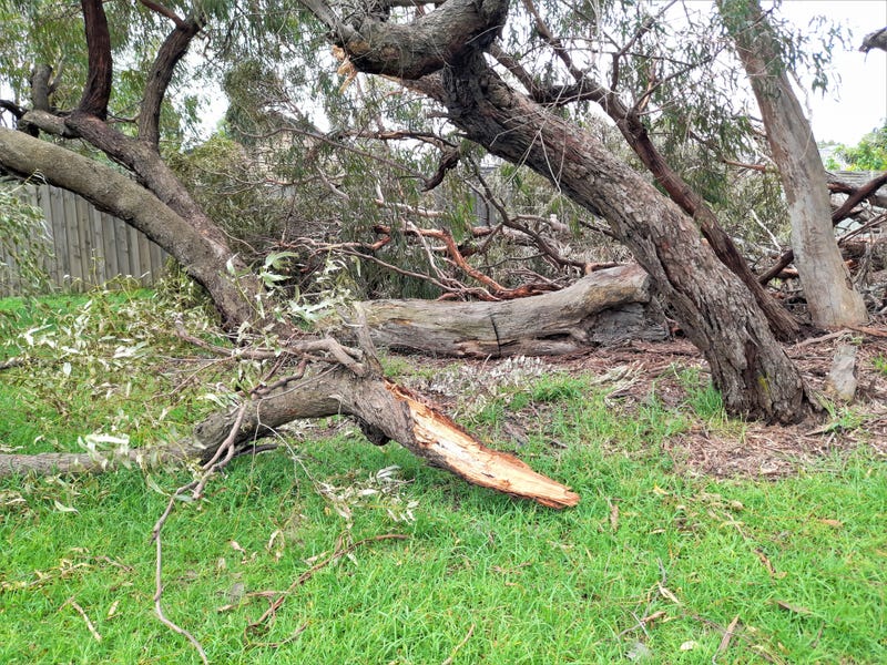 Strong winds