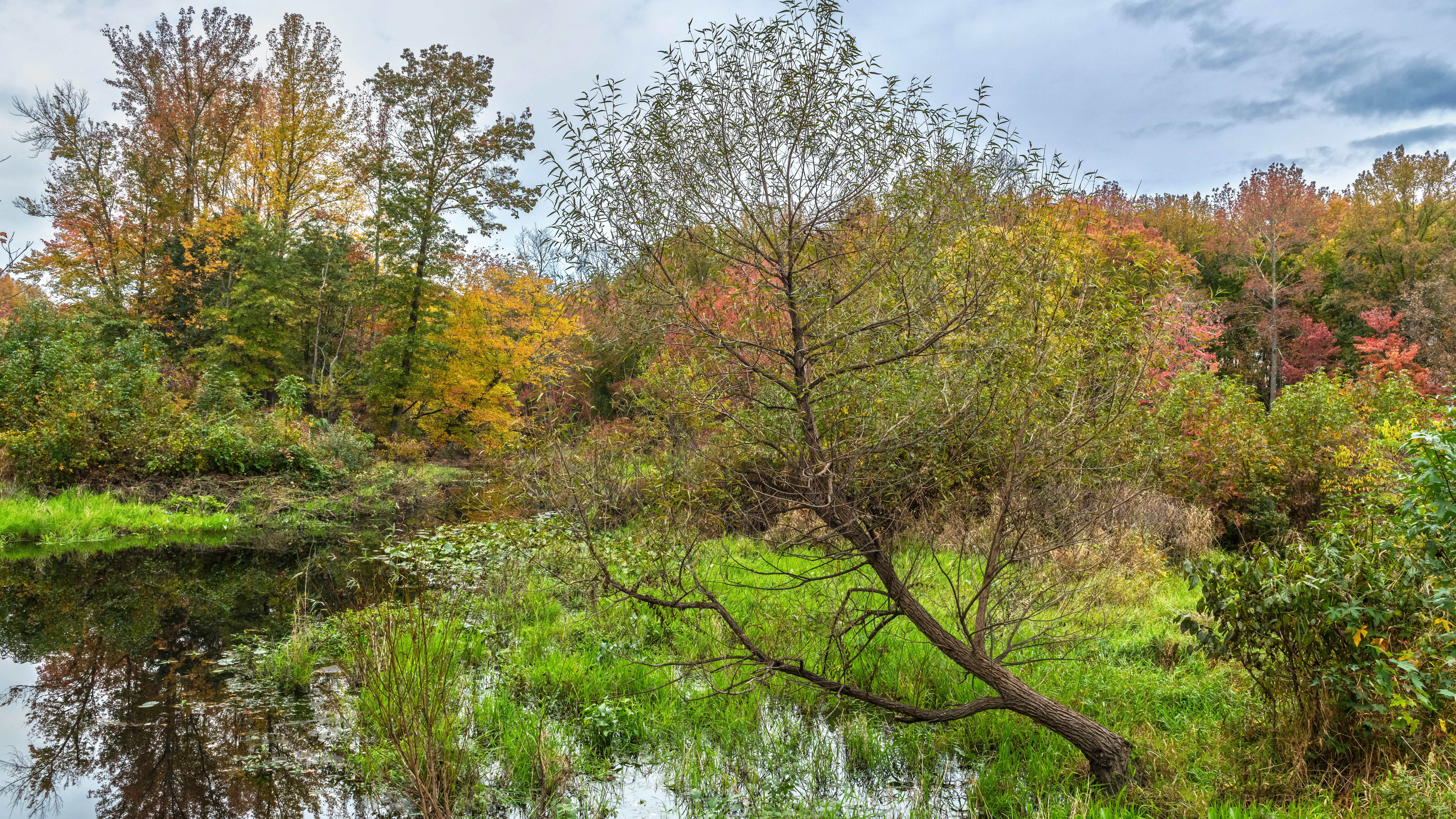 DEP creates new standard to screen for NJ populations in need of environmental justice
