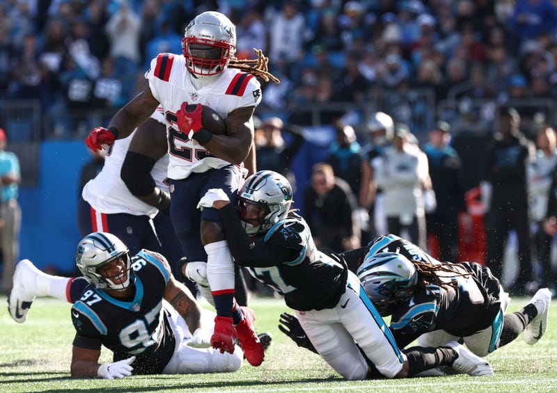 Brandon Bolden runs against the Panthers.