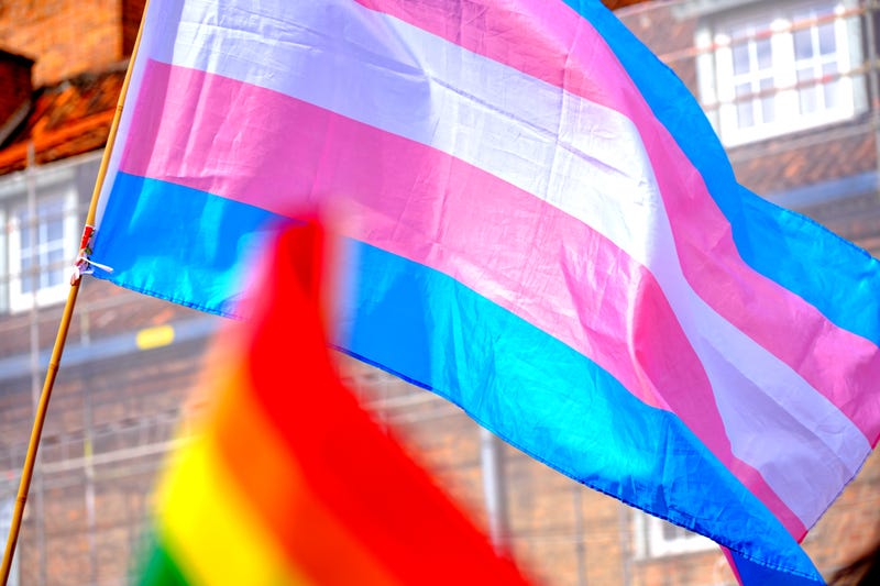 Transgender flag waves