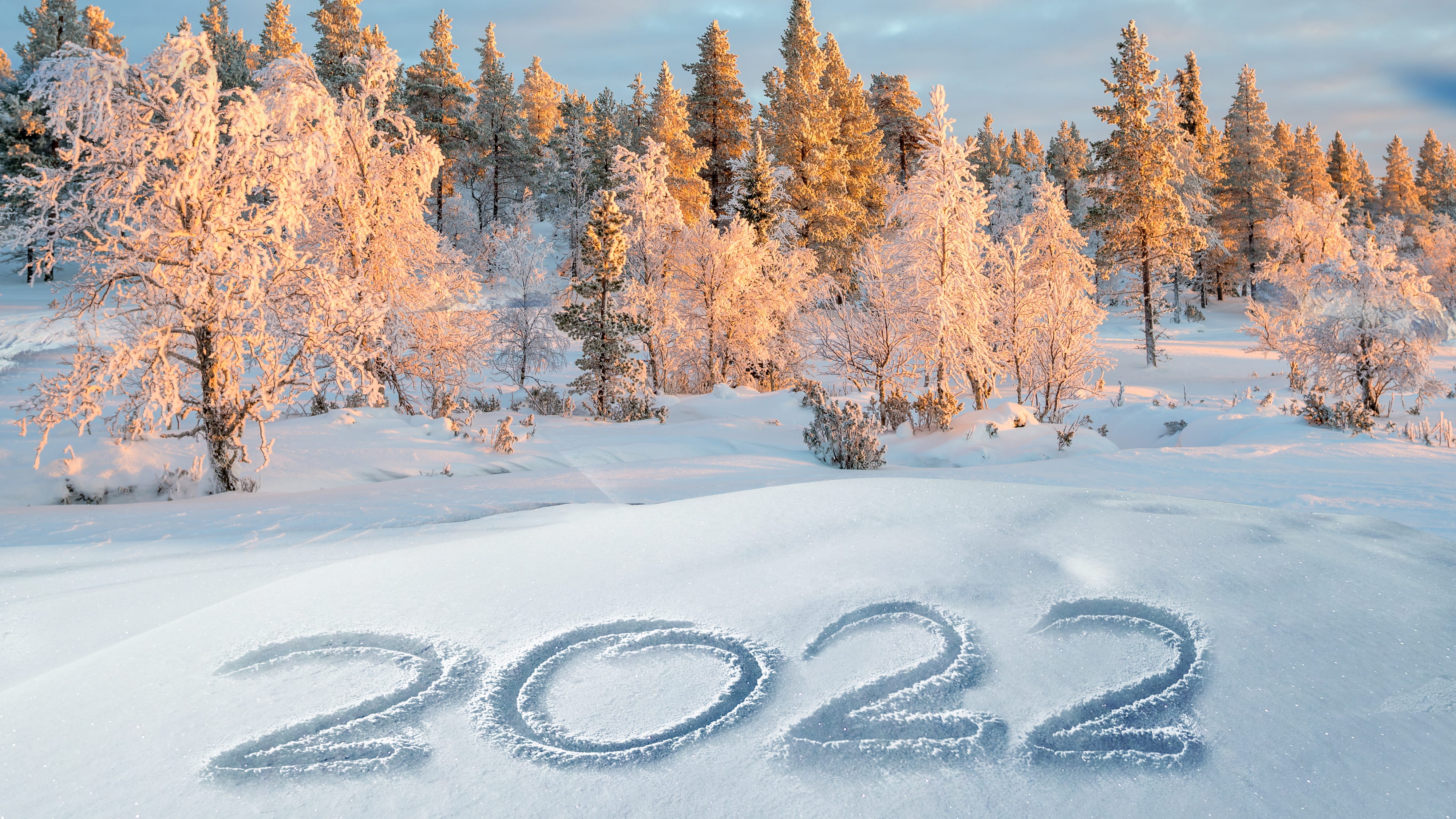Metro Detroit expected to ring in 2022 with a holiday snowstorm