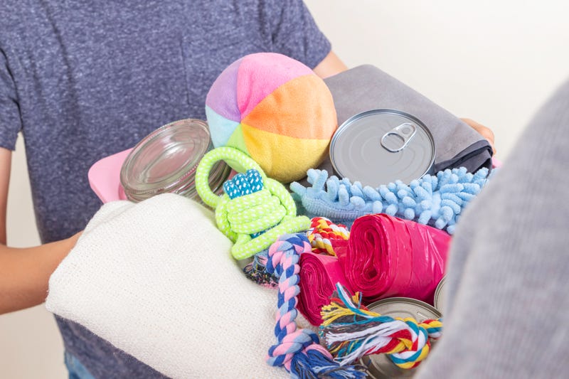 Volunteer hands holding box with canned pet food, blankets, animal accessories and toys for animal shelters