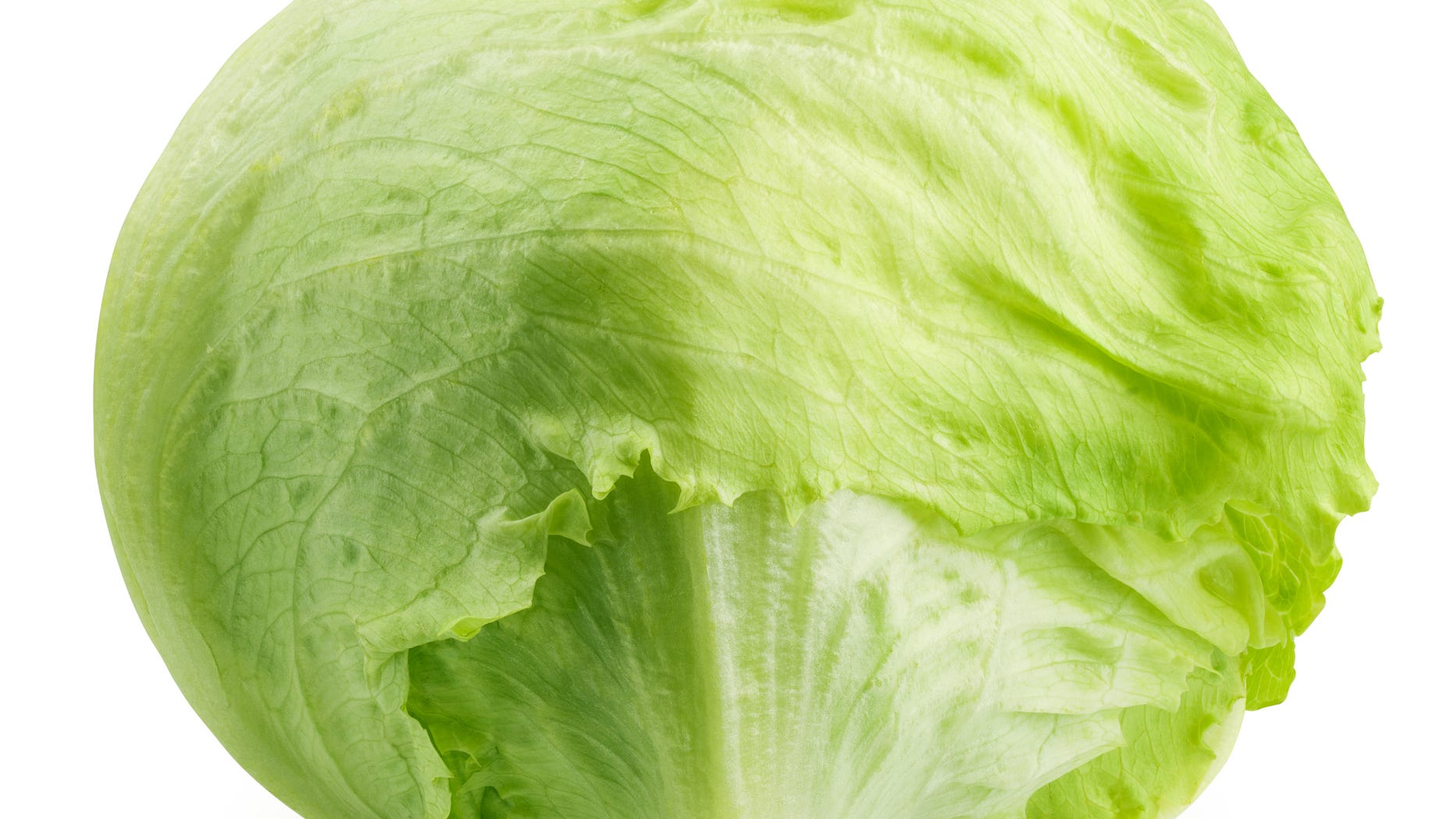 Is it normal to pay $7.50 for a head of lettuce? Price of vegetables skyrockets