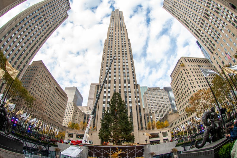 The Rockefeller Center Christmas Tree is moved into place by a crane on November 13, 2021 in New York City. This year, for the first time the Norway Spruce tree was from Maryland. The tree is 79-feet tall, 46-feet in diameter, and weighs 12-tons.