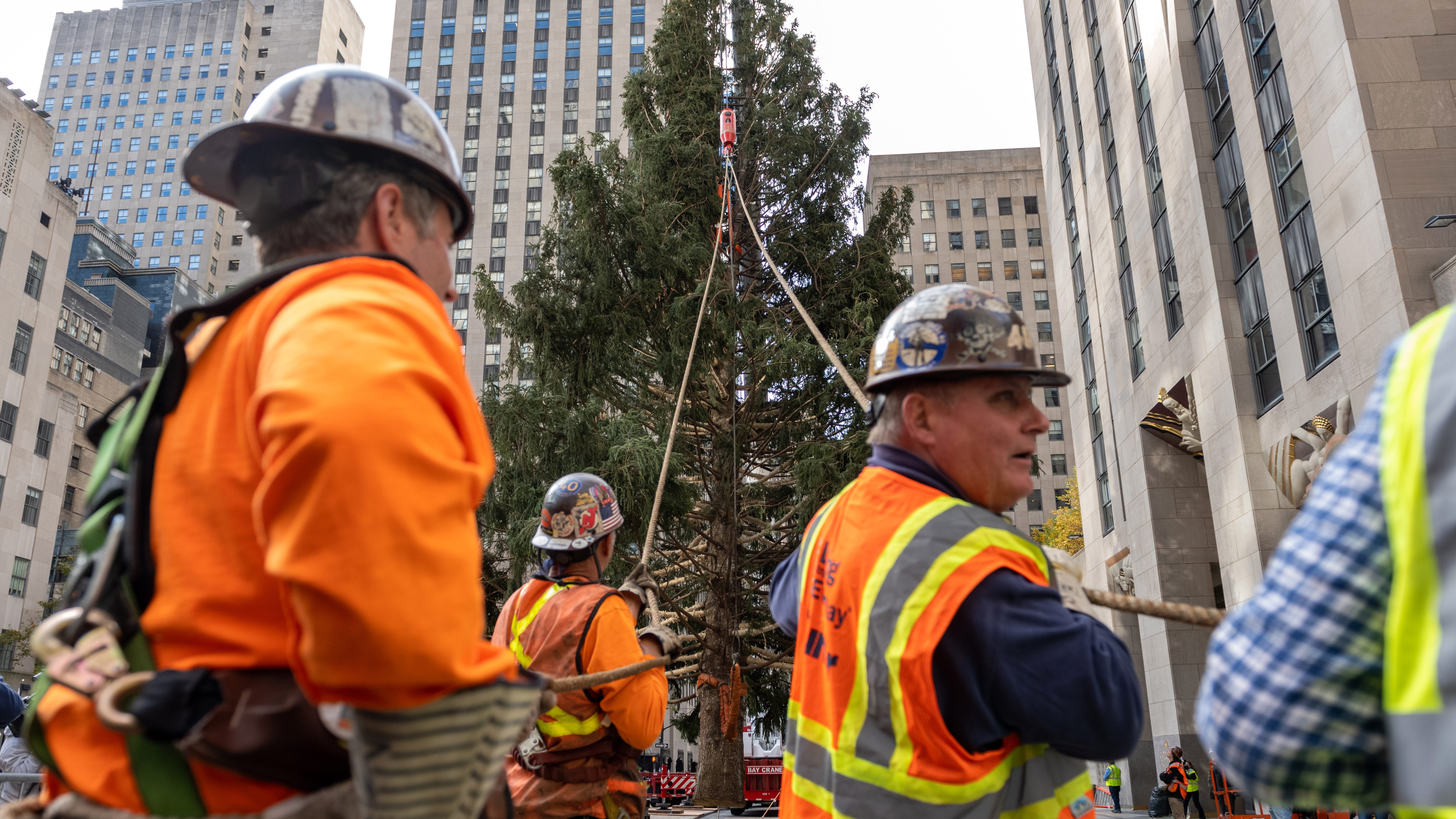 VIDEO & PHOTOS: Rockefeller Center Christmas tree arrives in NYC
