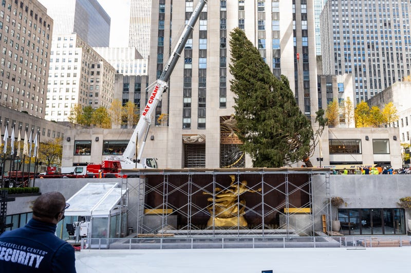 A security guard watches as The Rockefeller Center Christmas Tree is moved into place by a crane on November 13, 2021 in New York City. This year, for the first time the Norway Spruce tree was from Maryland. The tree is 79-feet tall, 46-feet in diameter, and weighs 12-tons.
