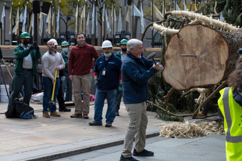 Devon Price hammers the spike into The Rockefeller Center Christmas Tree before it is moved by a crane on November 13, 2021 in New York City. This year, for the first time the Norway Spruce tree was from Maryland. The tree is 79-feet tall, 46-feet in diameter, and weighs 12-tons. 