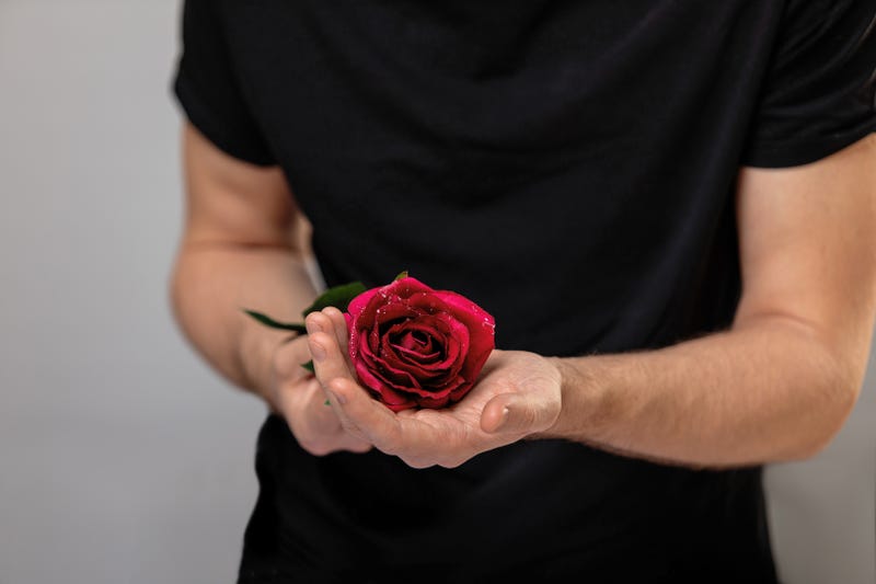 The Golden Bachelor