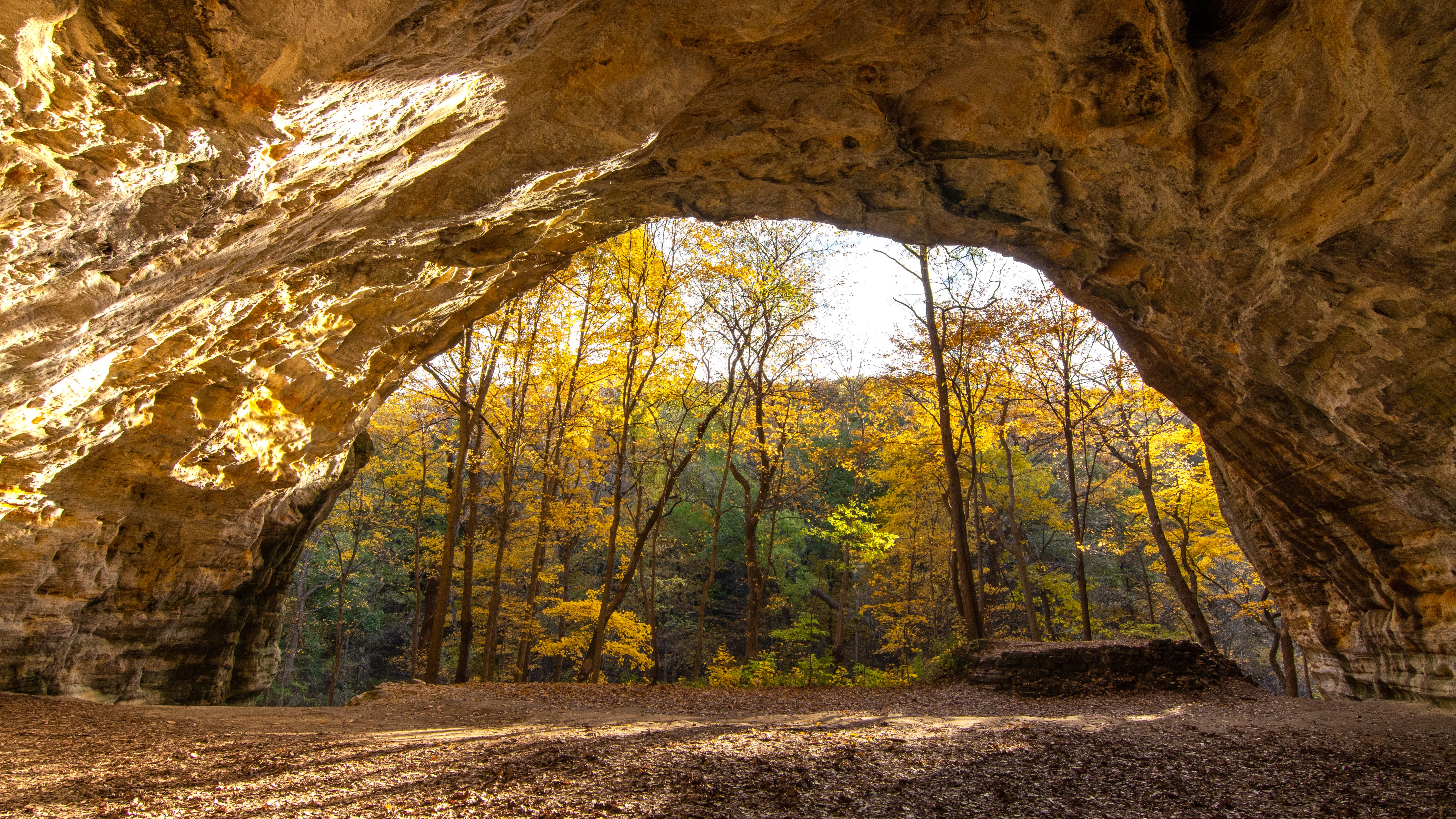 National Suicide Prevention Lifeline phone numbers posted at Illinois state parks