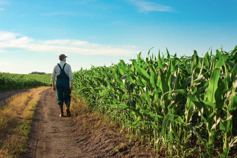 farmer walking in field