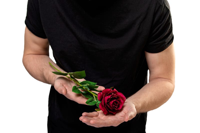 The Bachelor