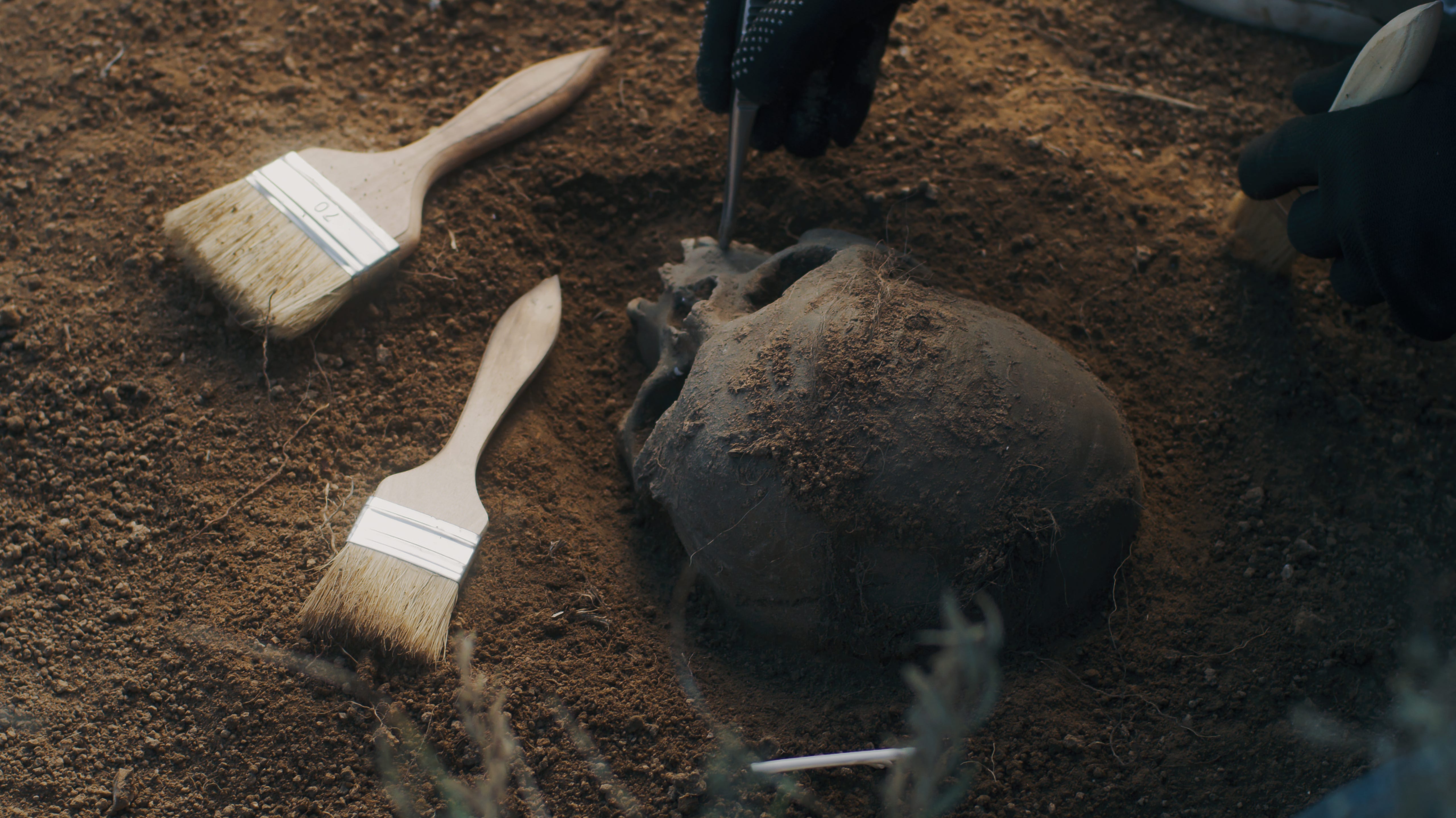 Archaeologists discover skeleton of 'vampire' pinned by sickle around neck