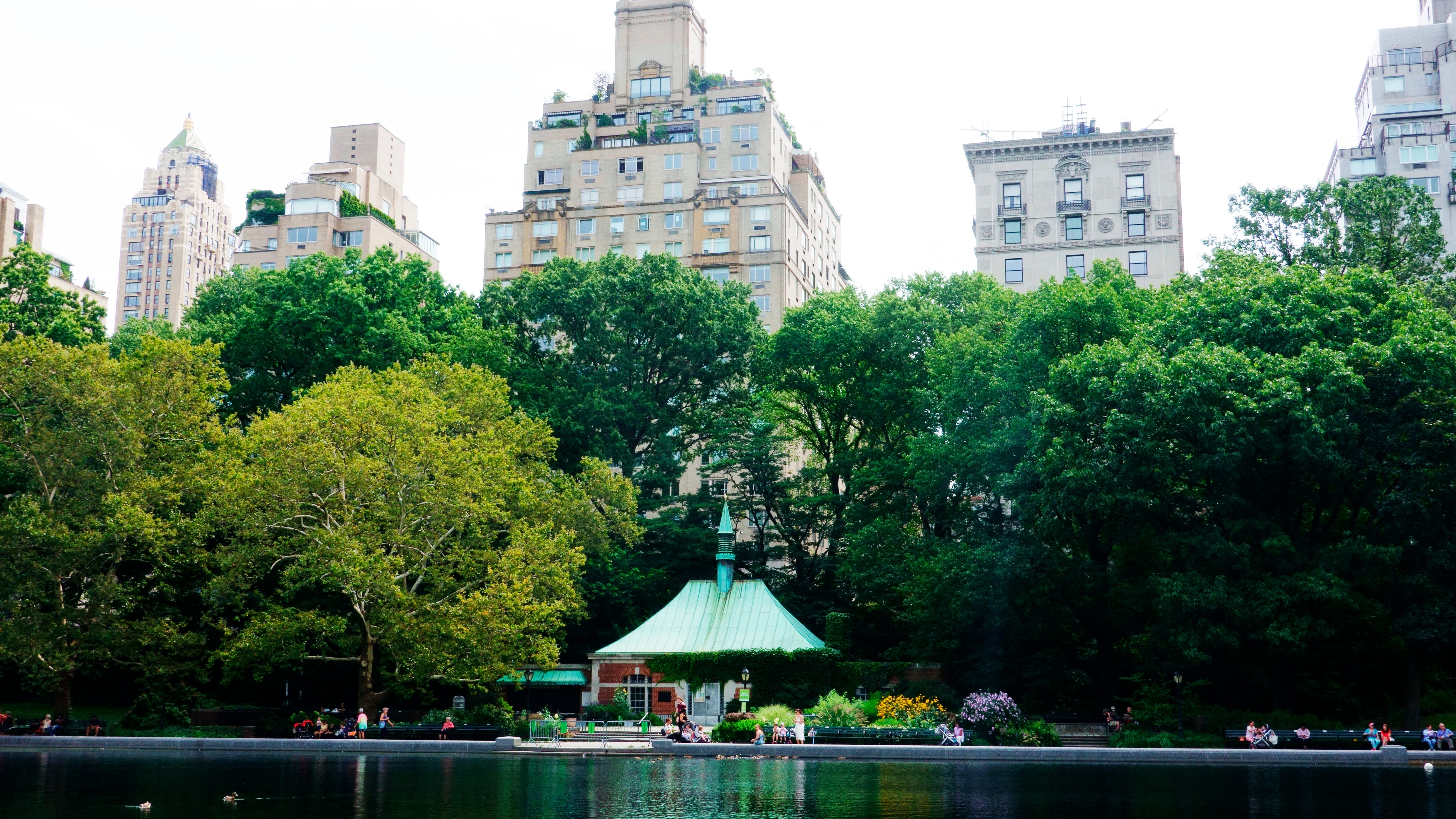 Investigation launched after multiple fires erupt in Central Park in 2nd time this month