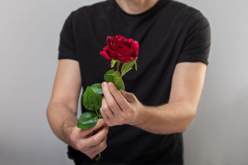 The Golden Bachelor