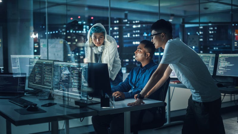 Cybersecurity professionals.