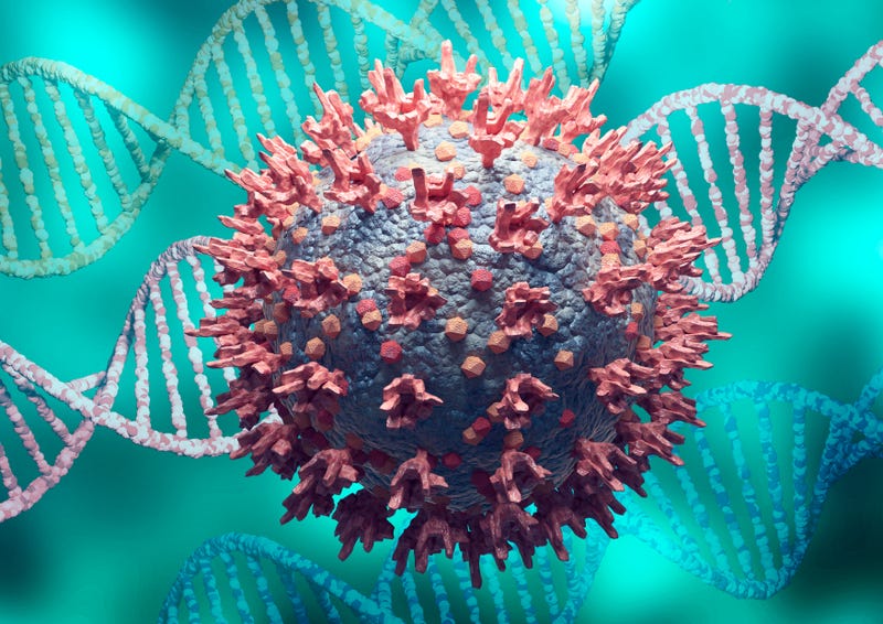 Coronavirus omicron variant