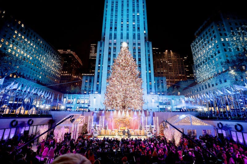 Like last year's tree, the spruce from Queensbury will be adorned with thousands of LED lights through the holiday season. This year's tree lighting is on Nov. 30