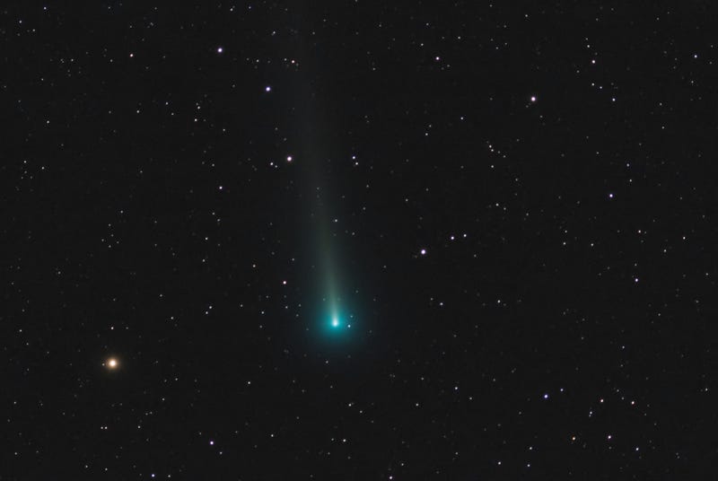 Comet Leonard