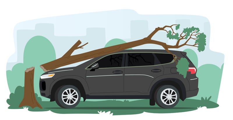 Illustration of Toppled Tree on Car Roof 